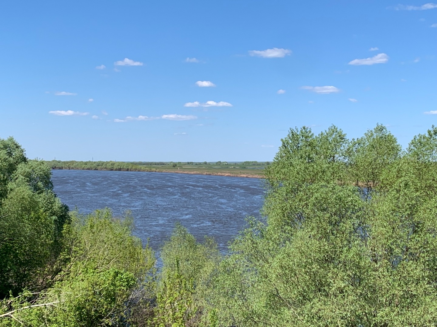 Продаётся жилой дом в с. Льгово, Рязанская область — высокий берег Оки, до Рязани 10 минут!

Продаётся уютный кирпичный дом 1985 года постройки, расположенный в живописном месте — на высоком берегу реки Ока, всего в 10 минутах езды от Рязани. Из окон открываются красивые виды, чистый воздух и прекра